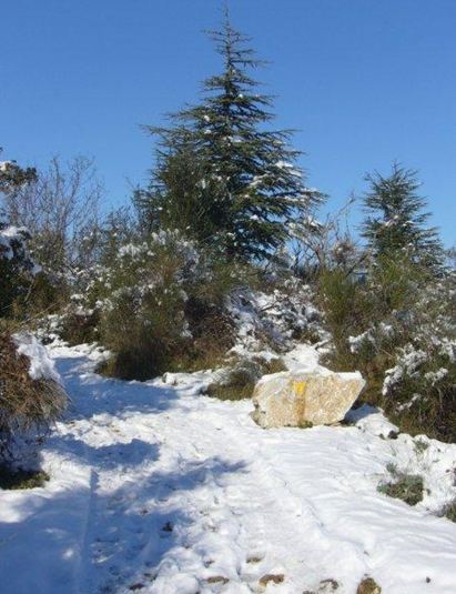 Snow in the Languedoc, south of France
