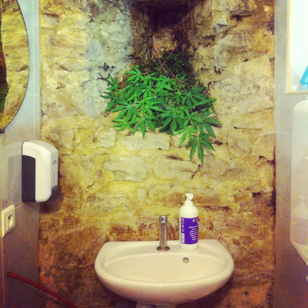 Stone wall bathroom in Minerve, South of France